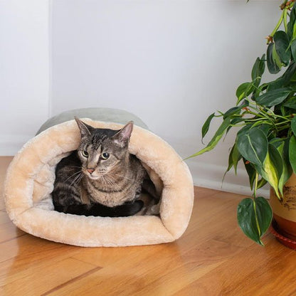 Panier fermé Chat près d'une plante