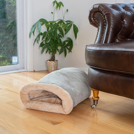Panier fermé Chat salon près du sofa