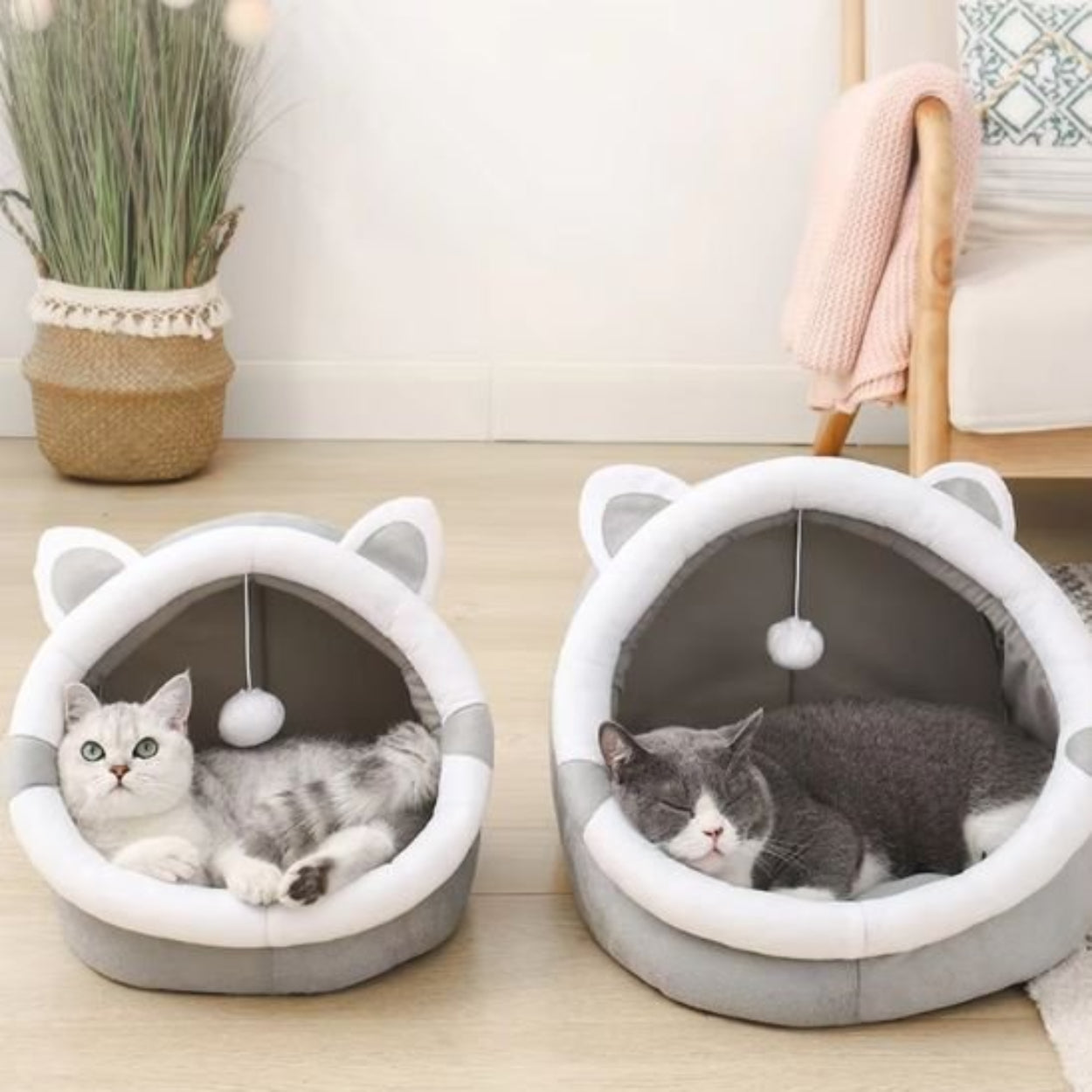 Panier pour chat lit de diversification