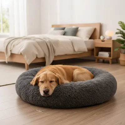 Panier pour chien ergonomique