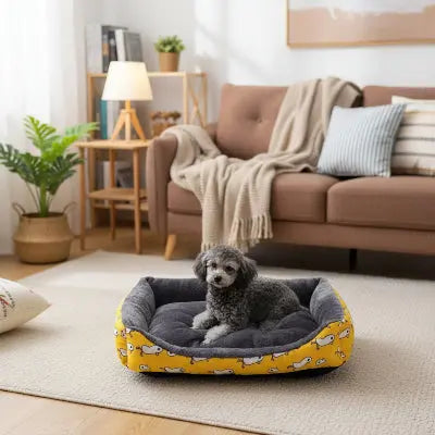 Panier pour Chien dans le salon