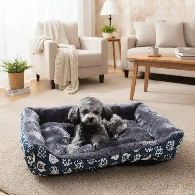 Panier pour Chien sur tapis de salon