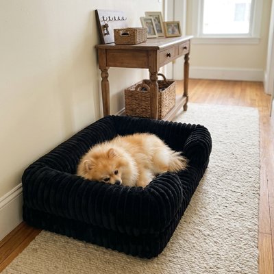 Panier XXL pour chien coloris noir – lit orthopédique