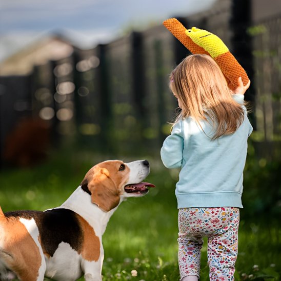 Peluche chien interactif indestructible