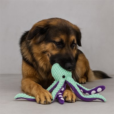 Peluche Chien son interactif