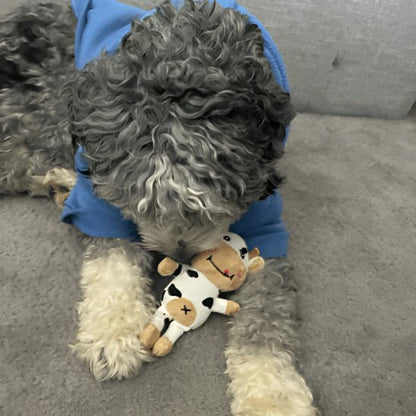 Peluche pour chien jouet à mâcher
