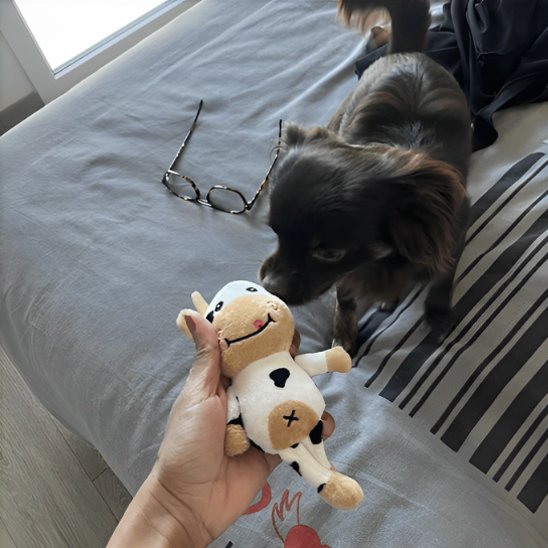 Peluche pour chien légère, sûre et amusante