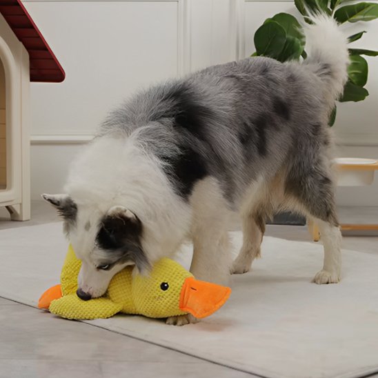 Peluche pour chiens canard jaune
