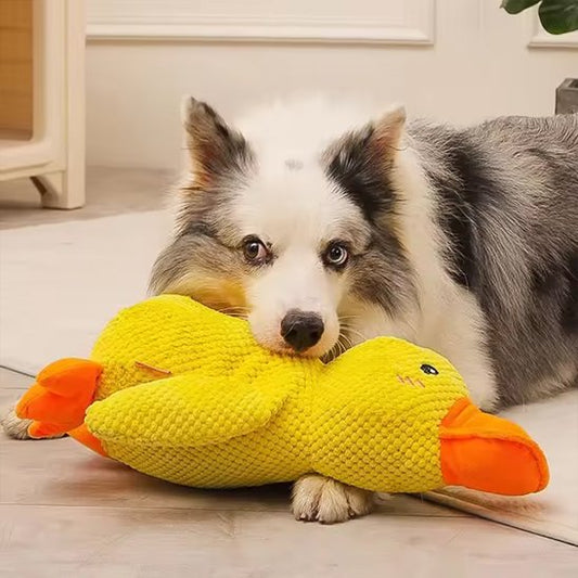 Peluche pour chiens canard