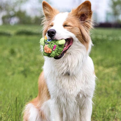 Border collie jouant avec peluche pour chiens flottante verte en extérieur

