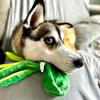Peluches interactives chien avec jouet sonore