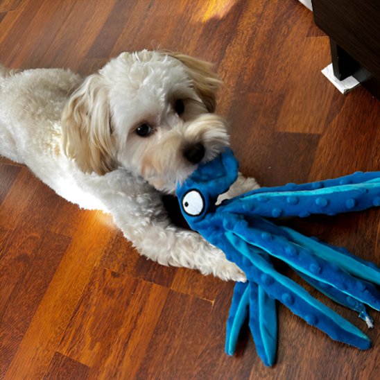 Peluches interactives chien jouet à mâcher