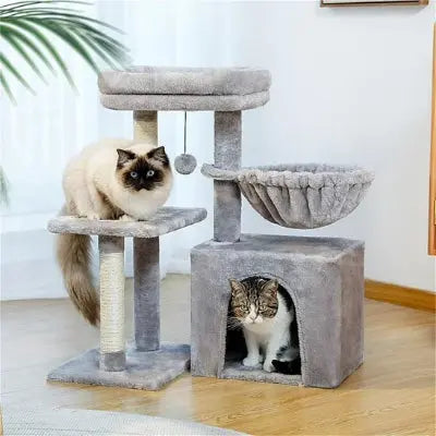 Petit arbre à chat​ d'activité