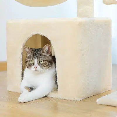 Petit arbre à chat​ design