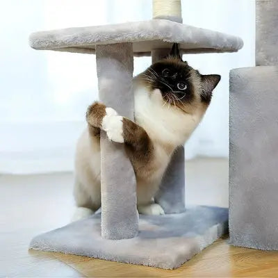 Petit arbre à chat​ d'intérieur