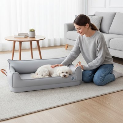 Petit caniche dort dans un lit canapé pour chien dans le salon.