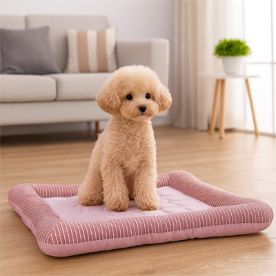 petit chien assis dans coussin rafraichissant chien salon
