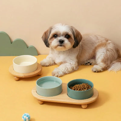 Petit chien assis près de sa Gamelle en céramique pour chien 