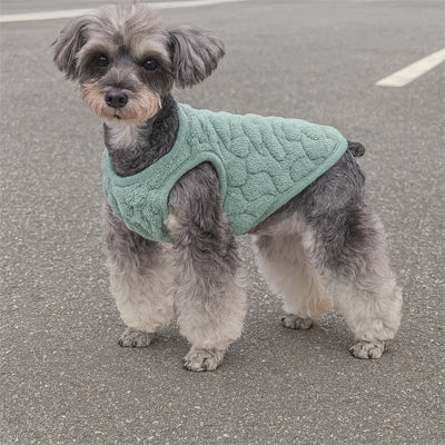 Petit chien avec Pulls pour Chien vert