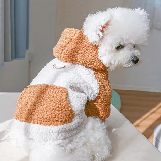 Petit chien blanc porte Pull pour chien petitcâlin
