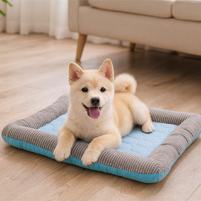 petit chien couché dans son coussin rafraîchissant chien
