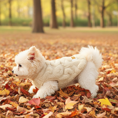 Petit chien joue dans feuilles avec Pulls pour Chien 