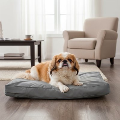 Coussin Chien déhoussable par terre dans le salon
