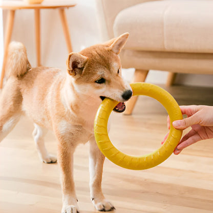 Petit chien tire jouet chien anneau flottant avec gueule