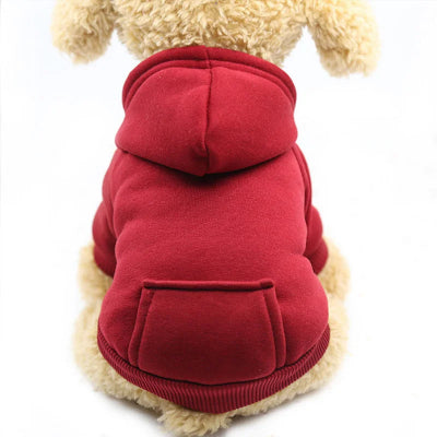 Petit pull pour chien rouge