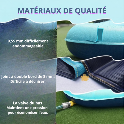 Piscine chien de qualité