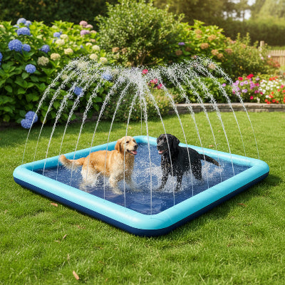 Piscine chien hauteur de 12cm