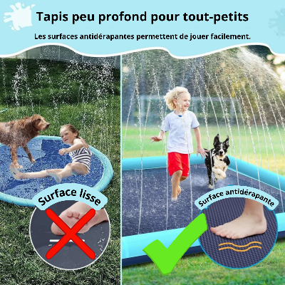 Piscine chien surface antidérapante