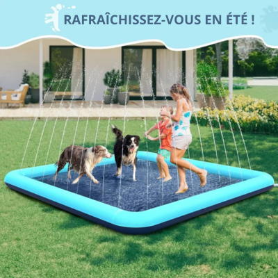 Piscine chien tapis de jet d'eau