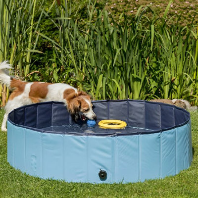 Chien se baignant dans une piscine pour chiens bleue sur herbe
