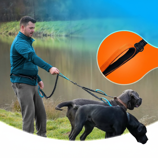Un homme en veste teal tenant la laisse avec deux chiens noirs au bord d'un lac, et un zoom orange sur la poignée rembourrée.