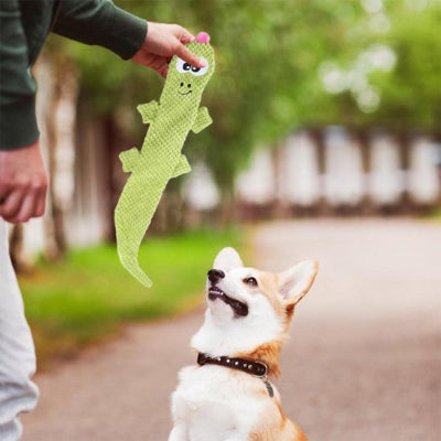 Jouets pour chien | Ultra-résistants