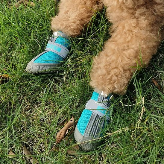 Chaussure chiens | CaninNature Ride™