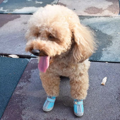 Chaussure chiens | CaninNature Ride™