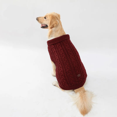 Pull en tricot pour chien bourgogne