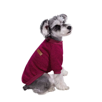 Pull pour chien rouge