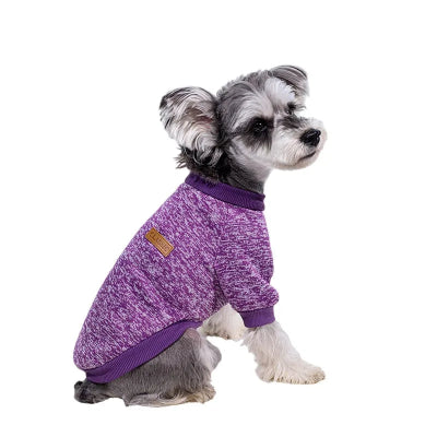 Pull pour chien violet