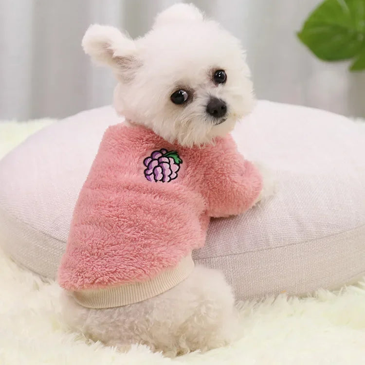 Pulls pour chien rose