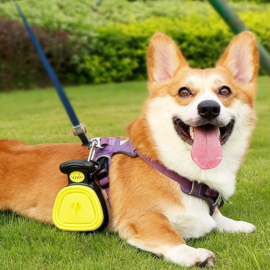 Distributeur de sacs ramasse-crotte chien attaché à la laisse d'un corgi