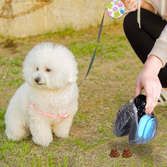 Ramasse-crotte pour chien distributeur de sacs utilisé dans un jardin avec un bichon frisé