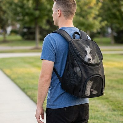 Sac a dos animal confortable
