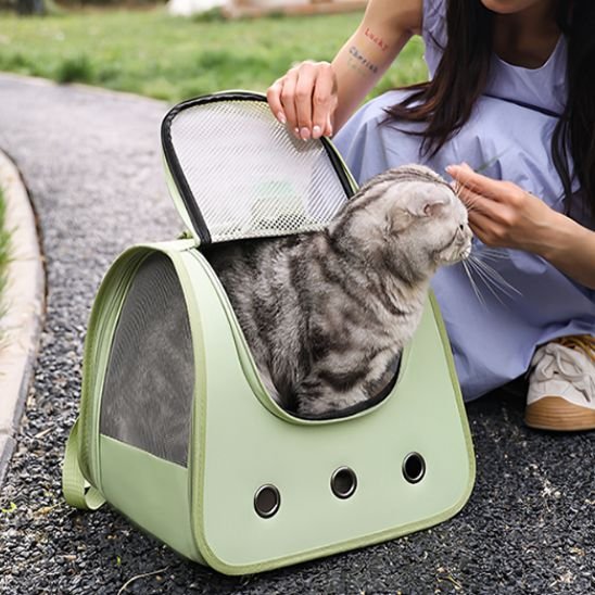 sac pour chat