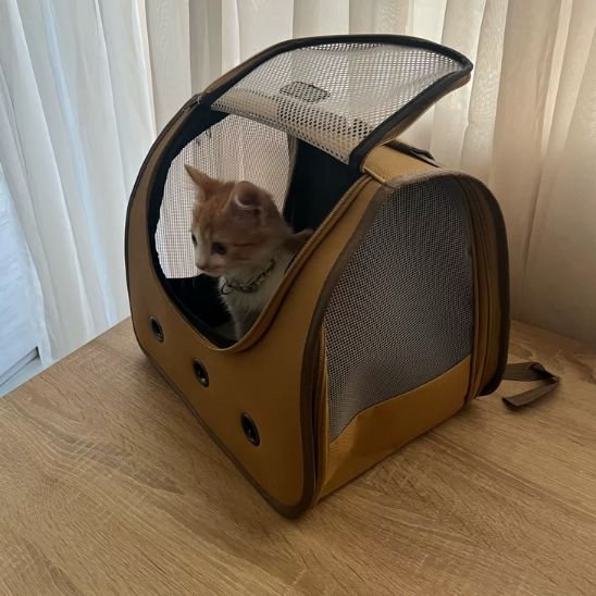 sac pour chat