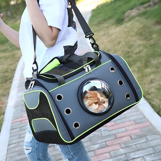 sac pour transporter chat a bandouillère