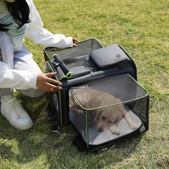 Sac pour transporter chien