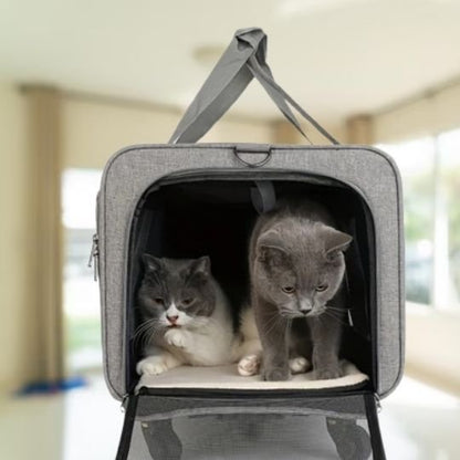 Sac transport chat doule